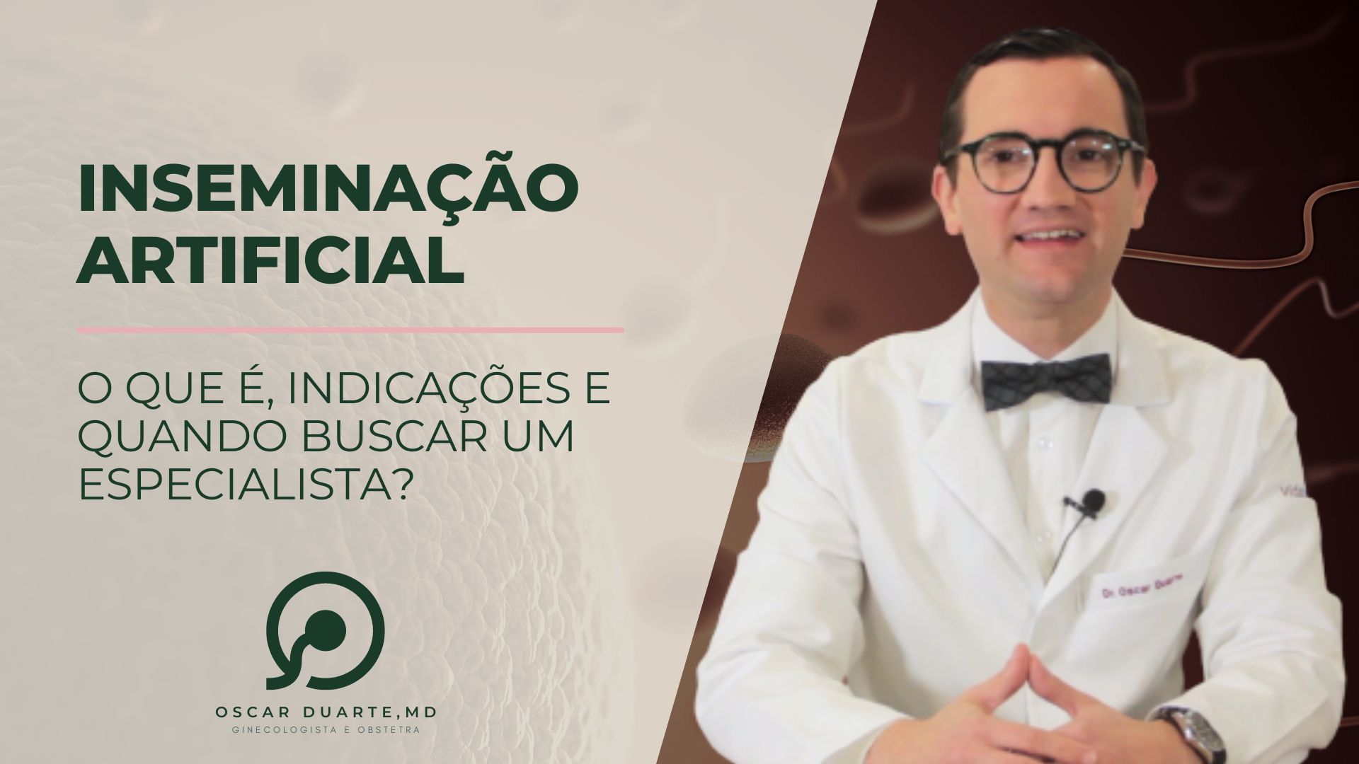 Inseminação artificial