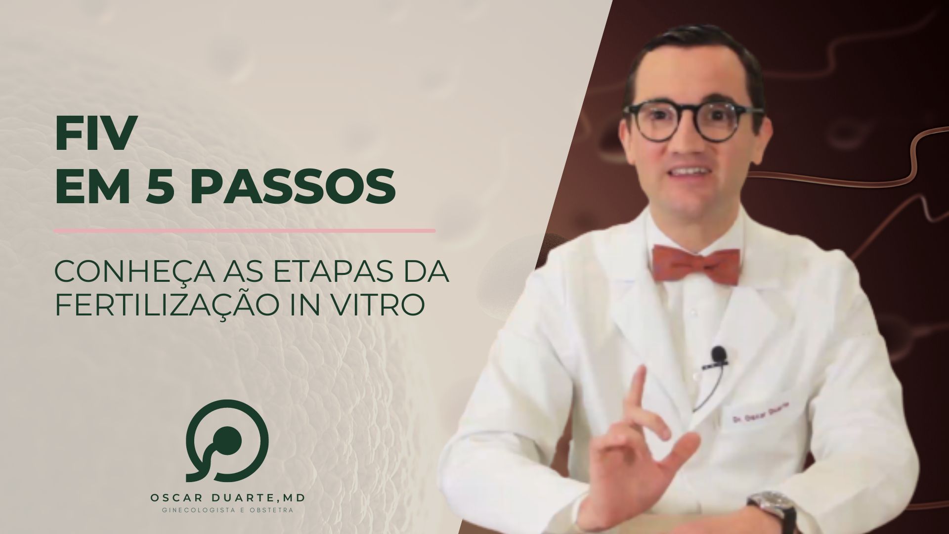 FIV em 5 passos